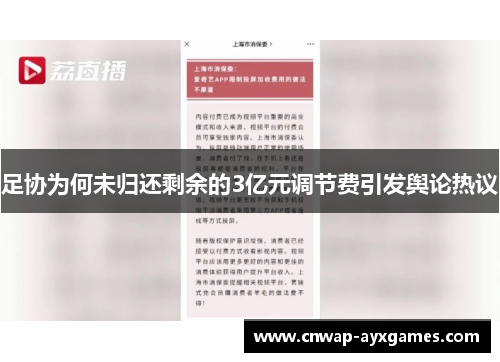 足协为何未归还剩余的3亿元调节费引发舆论热议