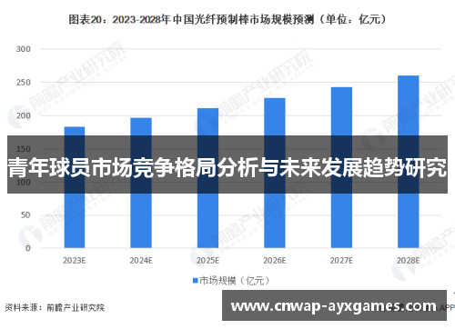 青年球员市场竞争格局分析与未来发展趋势研究