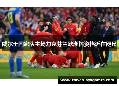 威尔士国家队主场力克芬兰欧洲杯资格近在咫尺 威尔士国家队主场力克芬兰欧洲杯资格近在咫尺