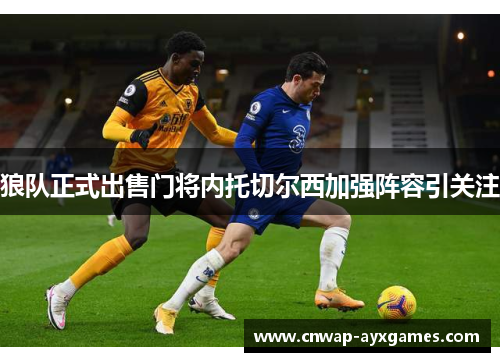狼队正式出售门将内托切尔西加强阵容引关注 狼队正式出售门将内托切尔西加强阵容引关注
