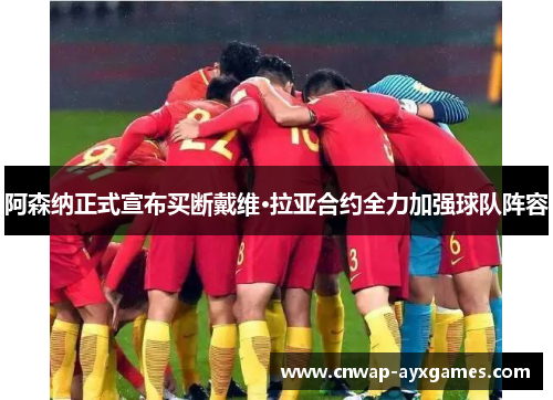 阿森纳正式宣布买断戴维·拉亚合约全力加强球队阵容