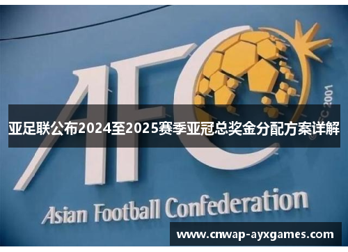 亚足联公布2024至2025赛季亚冠总奖金分配方案详解